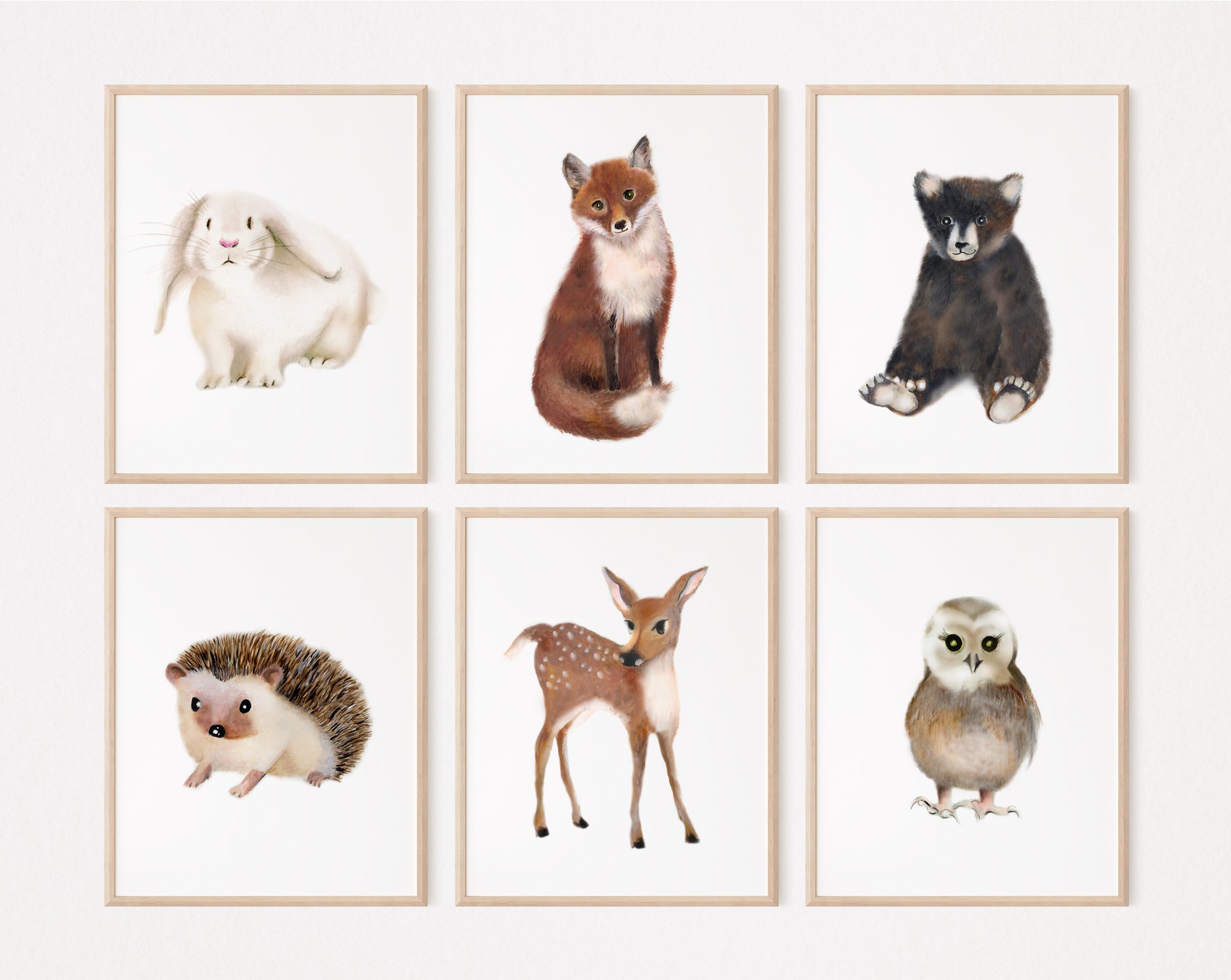 Set of 6 baby woodland animal paintings on white backgrounds shown in frames  - Studio Q - Art by Nicky Quartermaine Scott