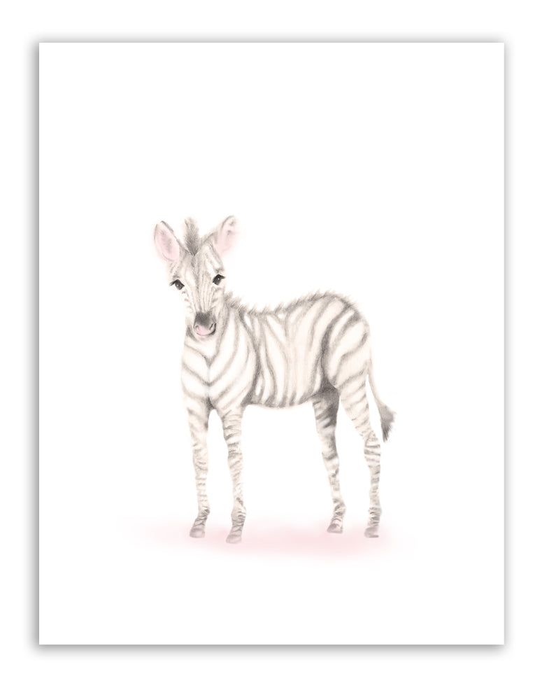 Zebra Nursery Art Print - Sweet Blush - Studio Q - Art by Nicky Quartermaine Scott