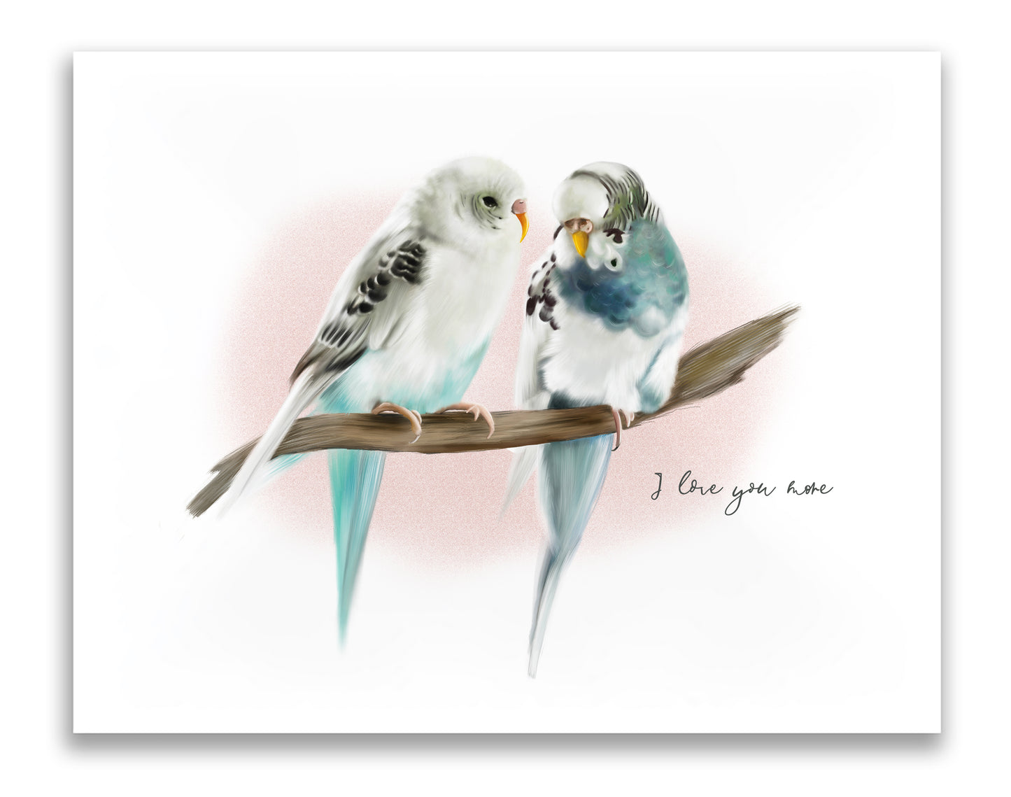 Budgie Pair Bird I Love You More Word Art Print - Studio Q - Art by Nicky Quartermaine Scott