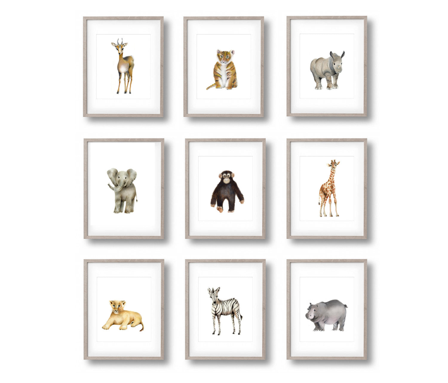 Safari Nursery Art Set of 9 Prints - Studio Q - Art by Nicky Quartermaine Scott