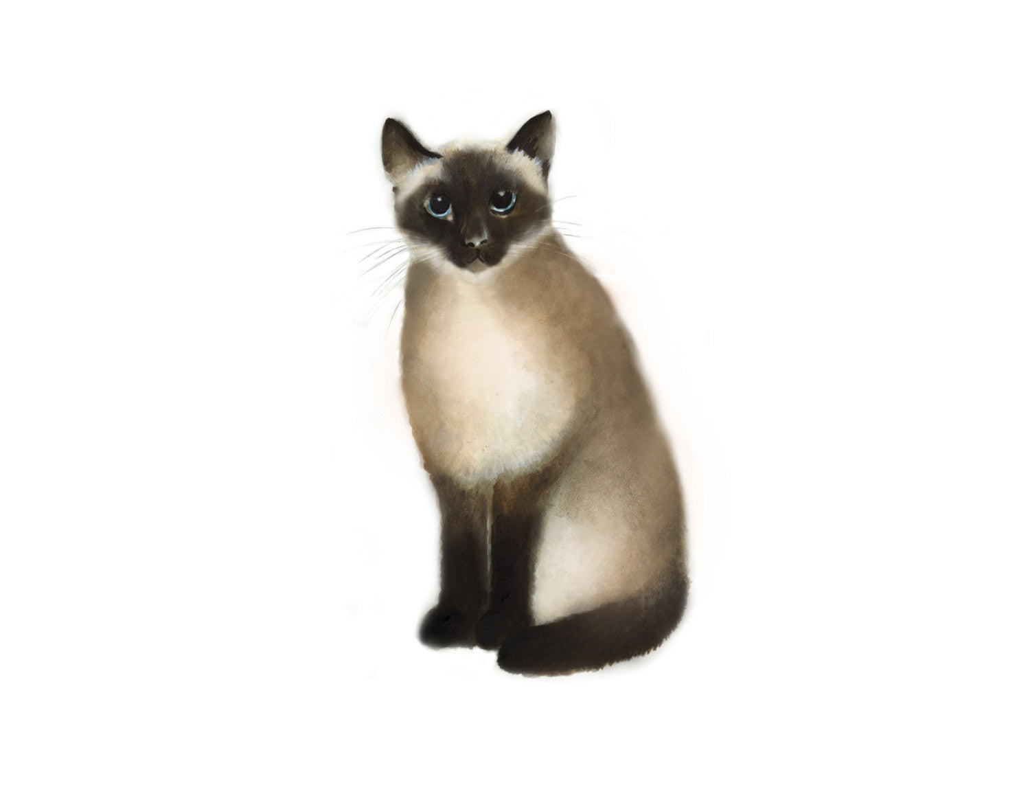Siamese Cat Art Print - Studio Q - Art by Nicky Quartermaine Scott