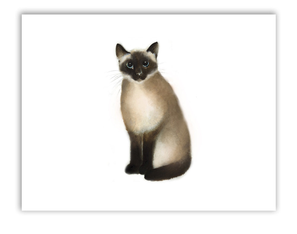 Siamese Cat Art Print - Studio Q - Art by Nicky Quartermaine Scott